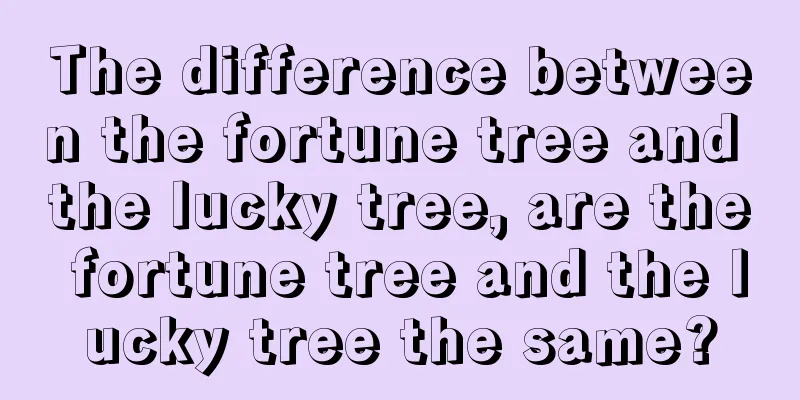 The difference between the fortune tree and the lucky tree, are the fortune tree and the lucky tree the same?