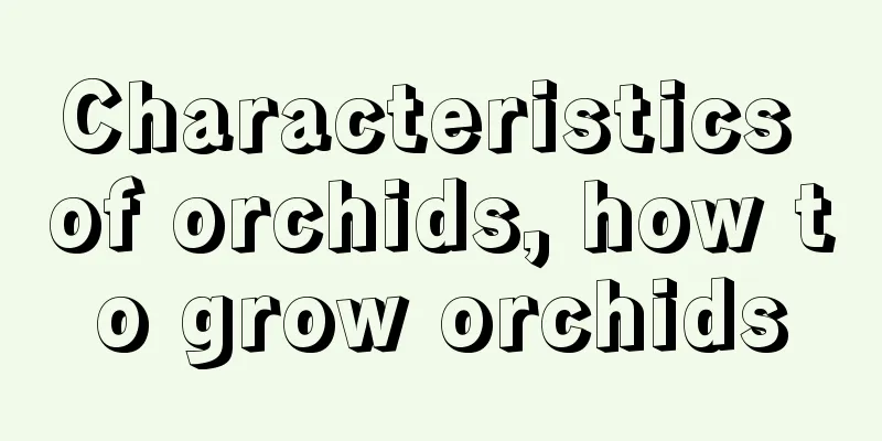 Characteristics of orchids, how to grow orchids