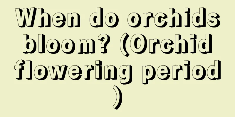 When do orchids bloom? (Orchid flowering period)