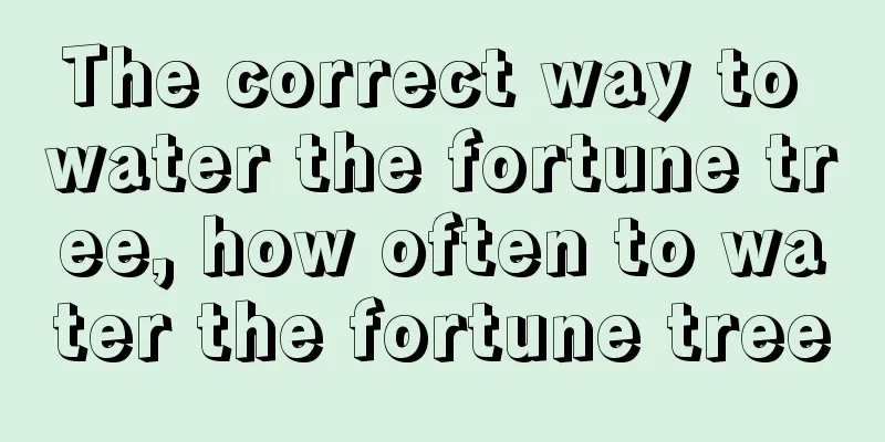 The correct way to water the fortune tree, how often to water the fortune tree