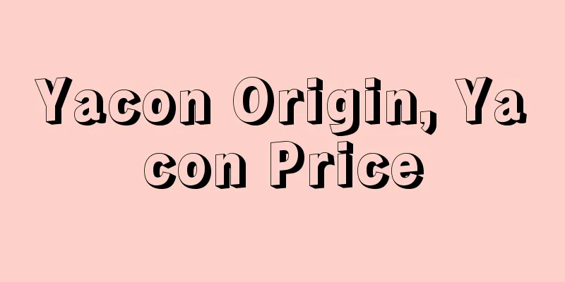 Yacon Origin, Yacon Price