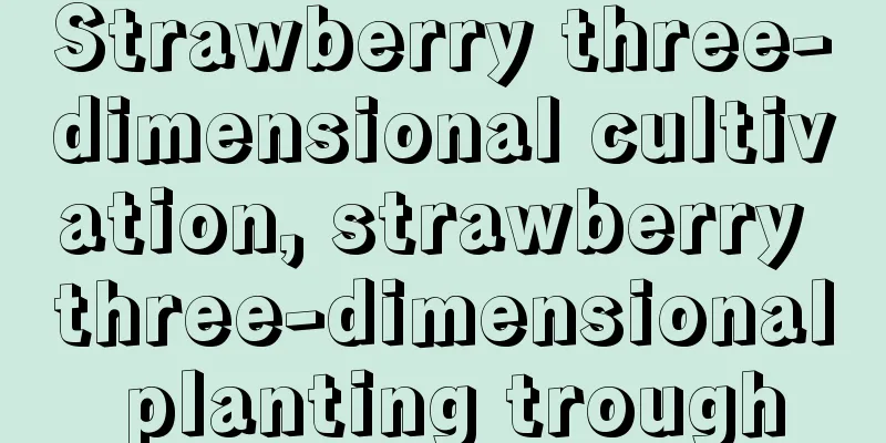 Strawberry three-dimensional cultivation, strawberry three-dimensional planting trough