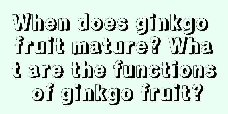 When does ginkgo fruit mature? What are the functions of ginkgo fruit?