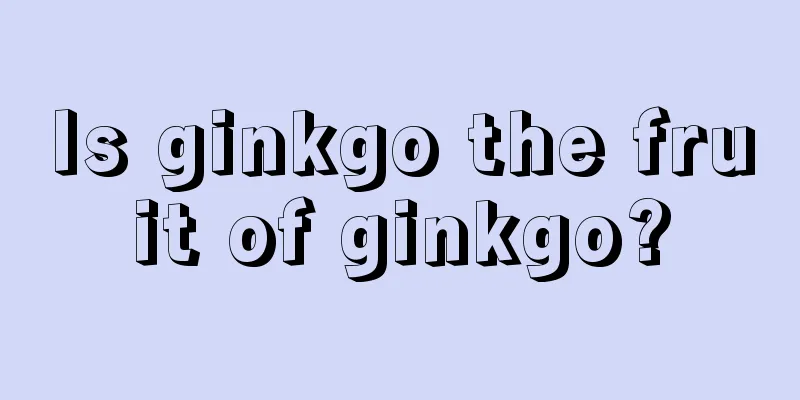 Is ginkgo the fruit of ginkgo?