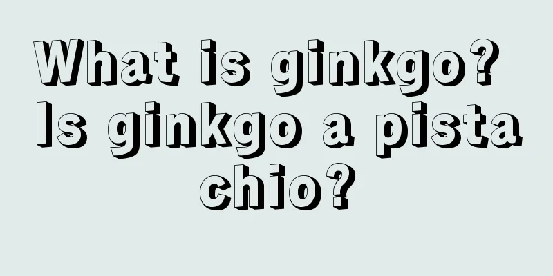 What is ginkgo? Is ginkgo a pistachio?