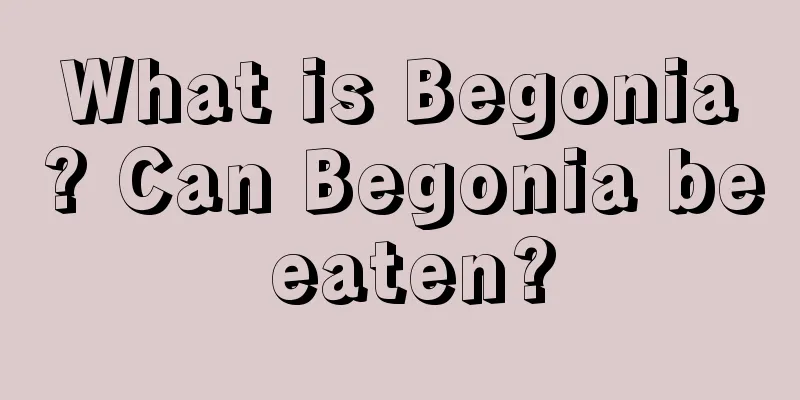 What is Begonia? Can Begonia be eaten?