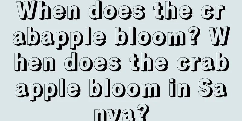 When does the crabapple bloom? When does the crabapple bloom in Sanya?