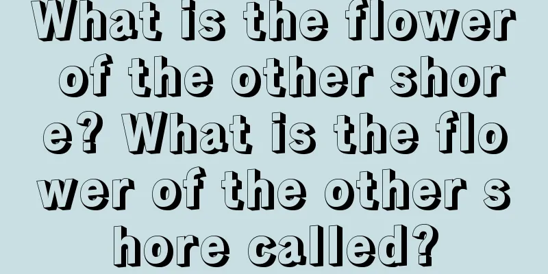 What is the flower of the other shore? What is the flower of the other shore called?