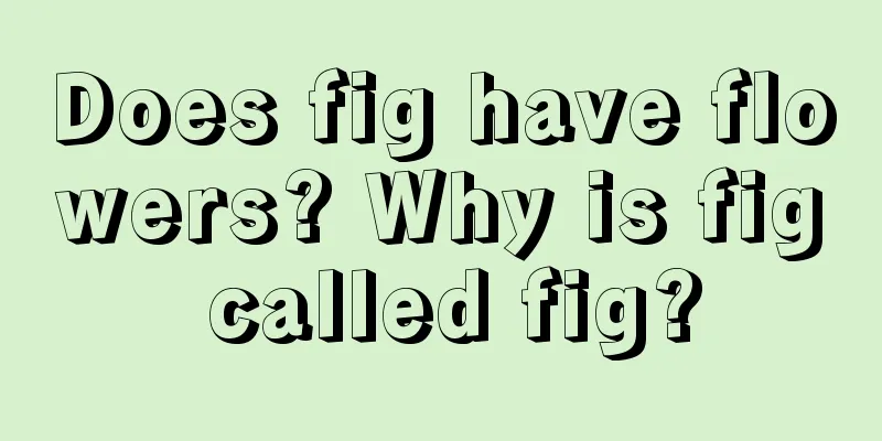 Does fig have flowers? Why is fig called fig?