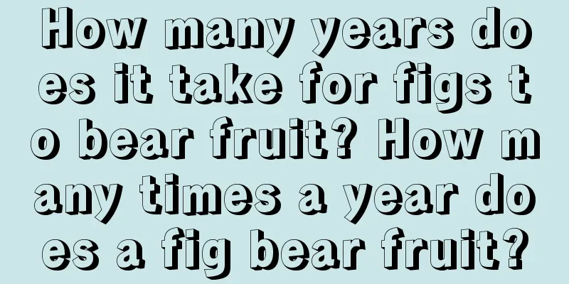 How many years does it take for figs to bear fruit? How many times a year does a fig bear fruit?