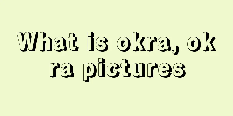 What is okra, okra pictures