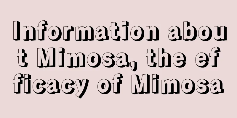 Information about Mimosa, the efficacy of Mimosa