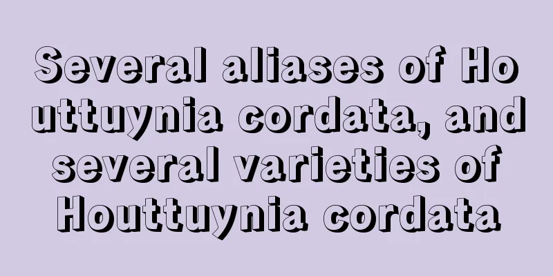 Several aliases of Houttuynia cordata, and several varieties of Houttuynia cordata