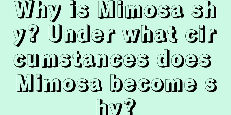 Why is Mimosa shy? Under what circumstances does Mimosa become shy?