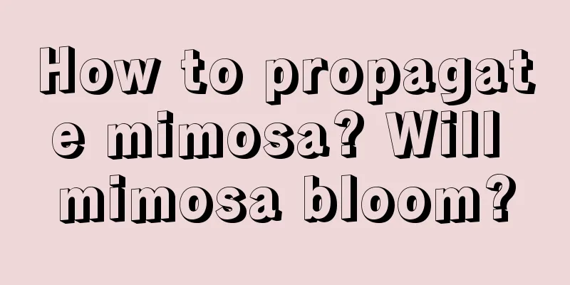 How to propagate mimosa? Will mimosa bloom?