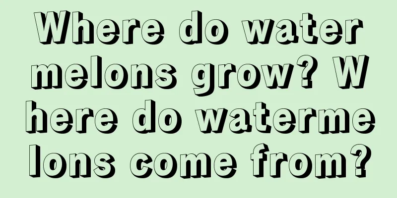 Where do watermelons grow? Where do watermelons come from?