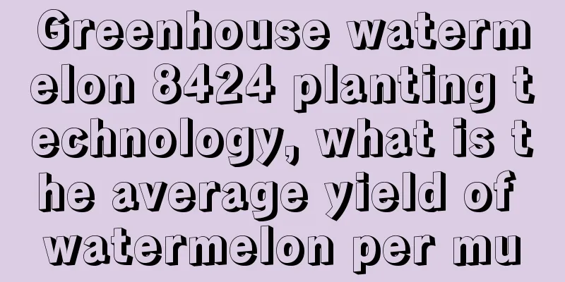 Greenhouse watermelon 8424 planting technology, what is the average yield of watermelon per mu