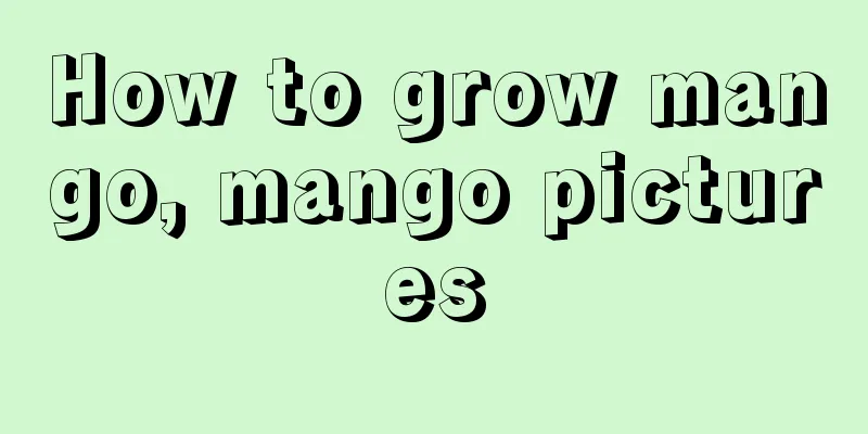 How to grow mango, mango pictures