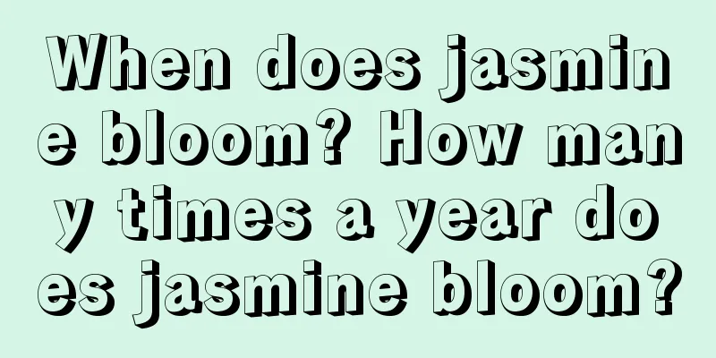 When does jasmine bloom? How many times a year does jasmine bloom?