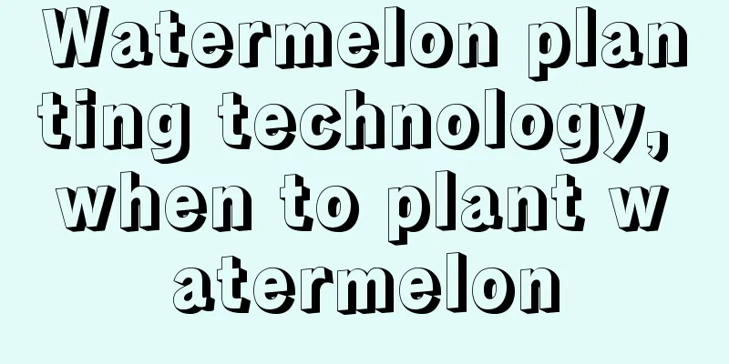 Watermelon planting technology, when to plant watermelon