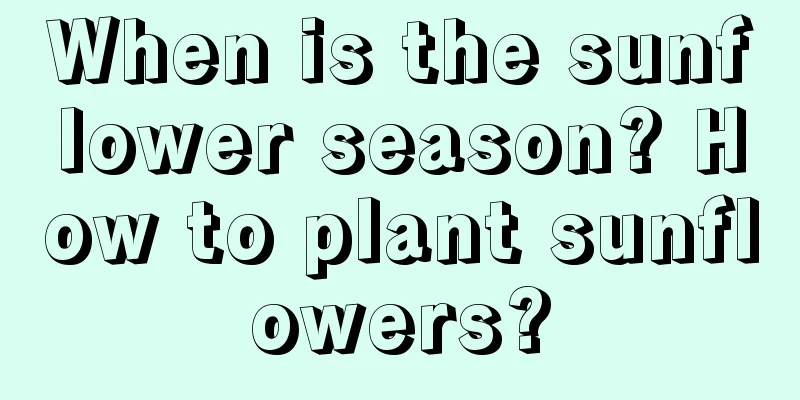 When is the sunflower season? How to plant sunflowers?