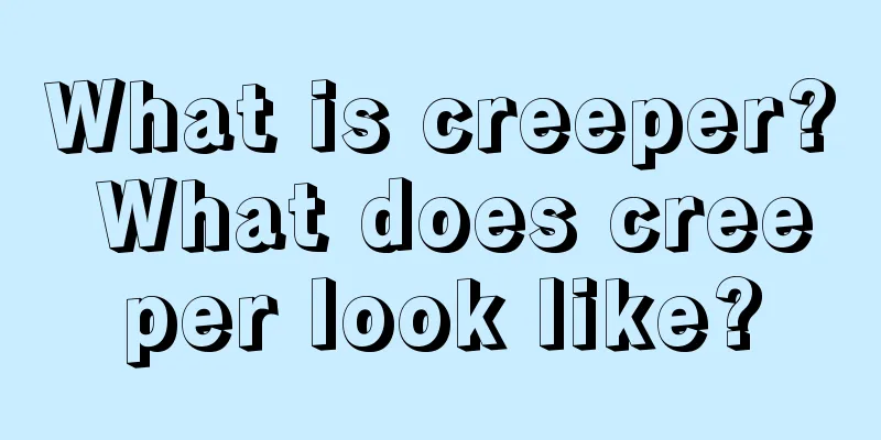 What is creeper? What does creeper look like?