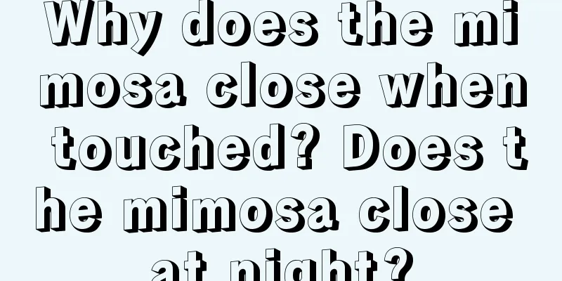 Why does the mimosa close when touched? Does the mimosa close at night?