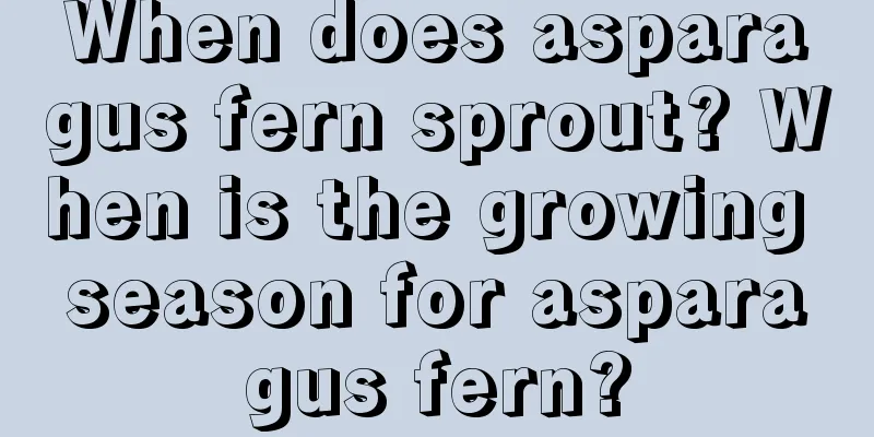 When does asparagus fern sprout? When is the growing season for asparagus fern?