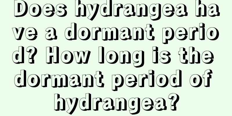 Does hydrangea have a dormant period? How long is the dormant period of hydrangea?