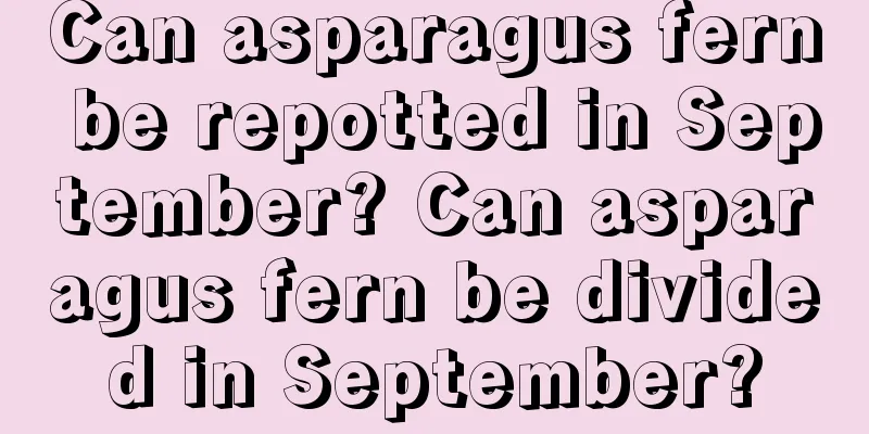 Can asparagus fern be repotted in September? Can asparagus fern be divided in September?