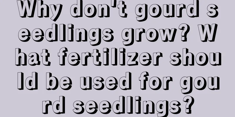 Why don't gourd seedlings grow? What fertilizer should be used for gourd seedlings?