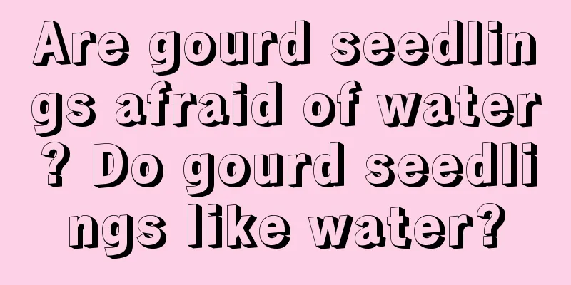 Are gourd seedlings afraid of water? Do gourd seedlings like water?