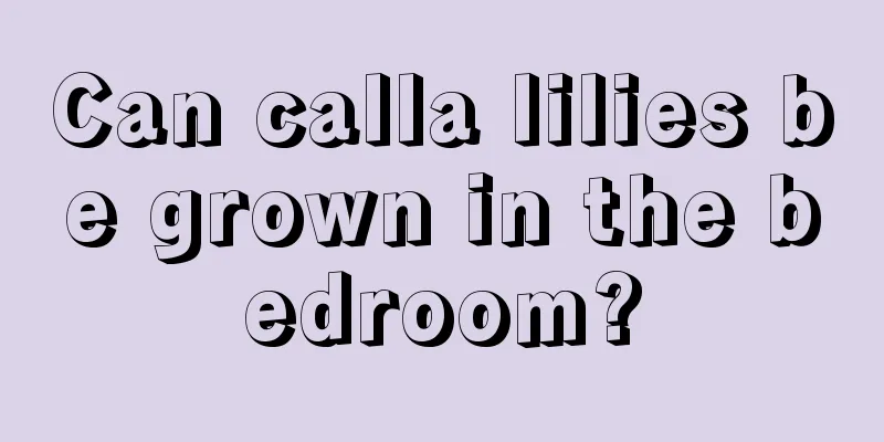 Can calla lilies be grown in the bedroom?