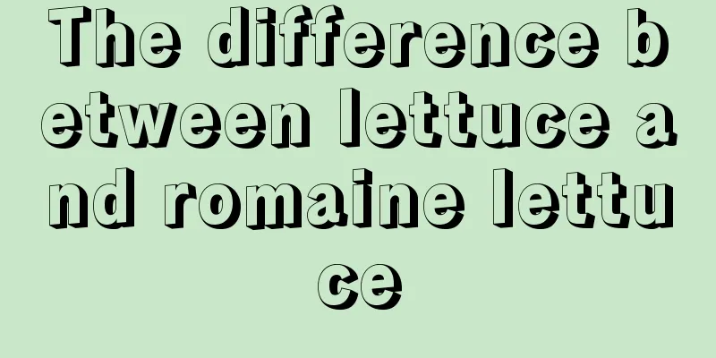 The difference between lettuce and romaine lettuce