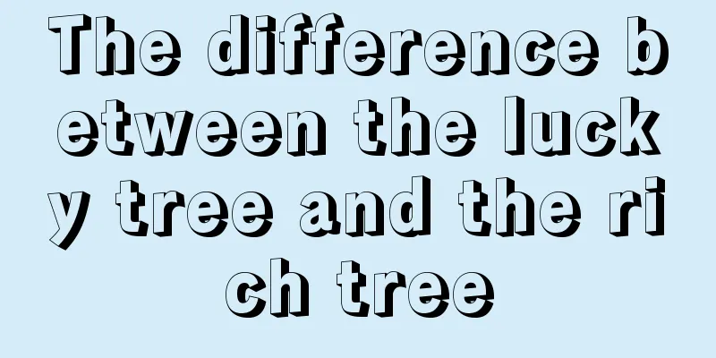 The difference between the lucky tree and the rich tree