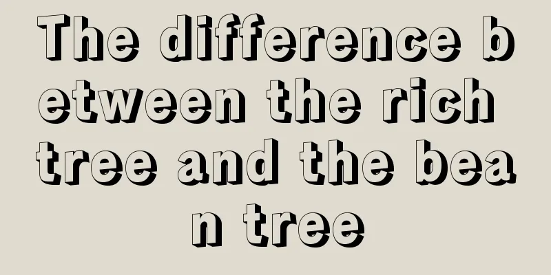 The difference between the rich tree and the bean tree