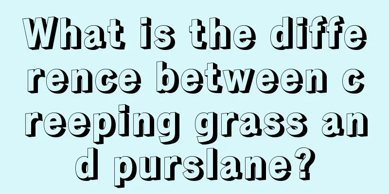 What is the difference between creeping grass and purslane?