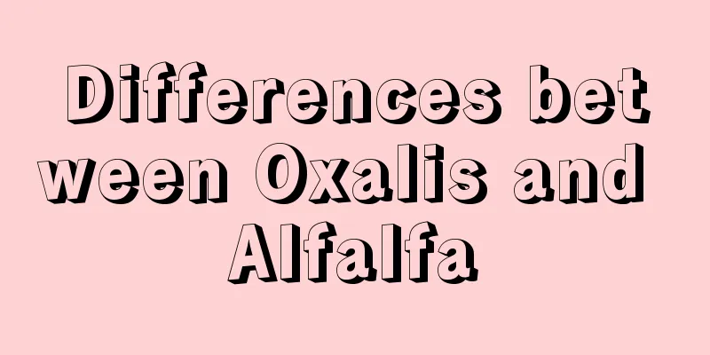 Differences between Oxalis and Alfalfa