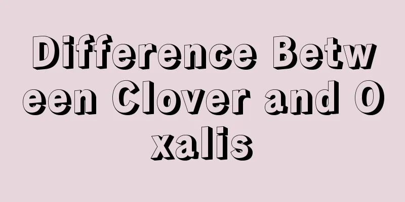 Difference Between Clover and Oxalis