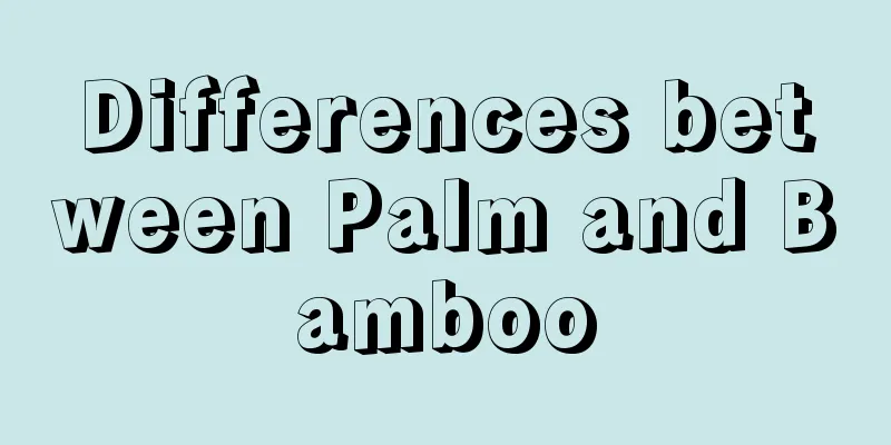 Differences between Palm and Bamboo