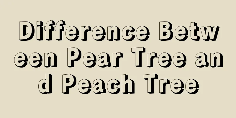 Difference Between Pear Tree and Peach Tree