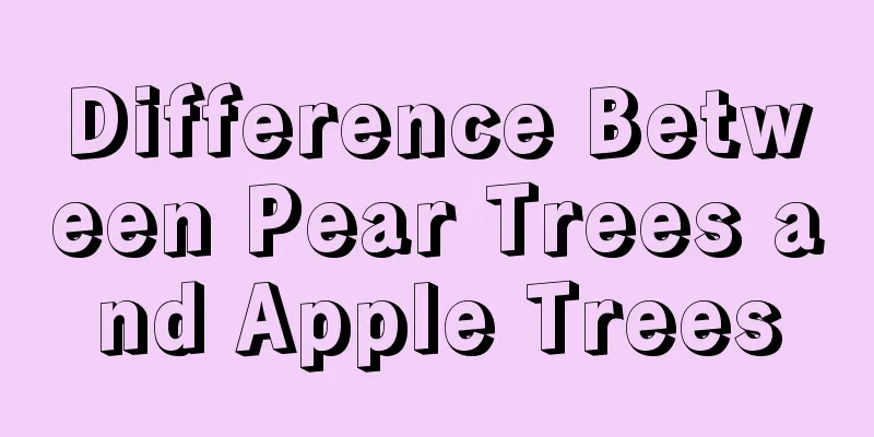 Difference Between Pear Trees and Apple Trees