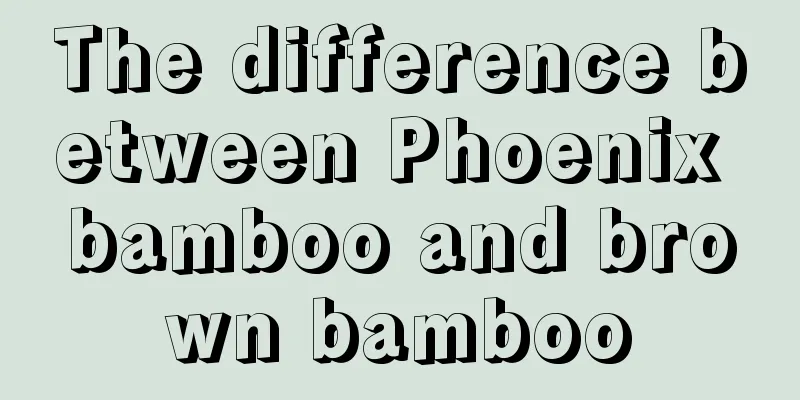 The difference between Phoenix bamboo and brown bamboo