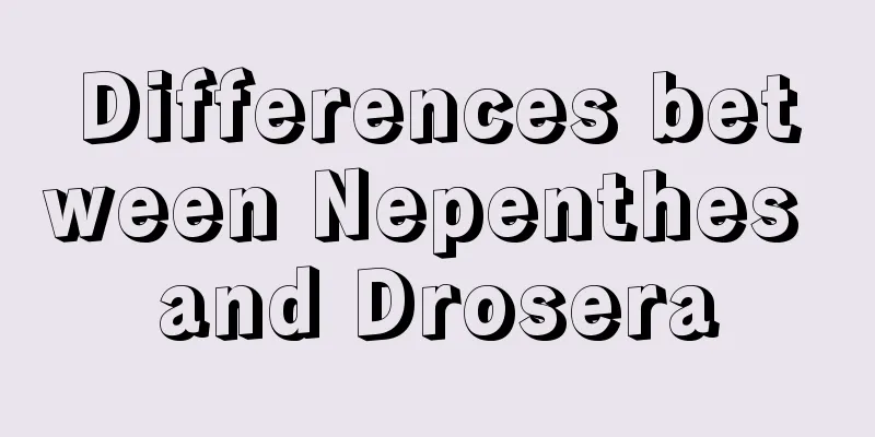 Differences between Nepenthes and Drosera