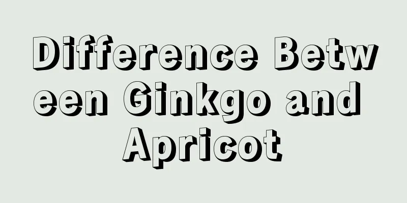 Difference Between Ginkgo and Apricot