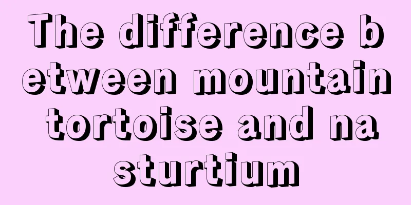 The difference between mountain tortoise and nasturtium