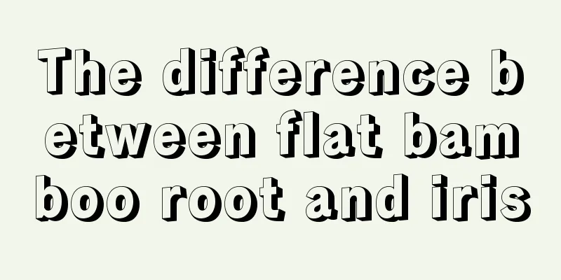 The difference between flat bamboo root and iris