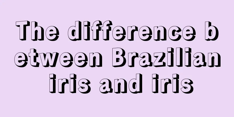 The difference between Brazilian iris and iris