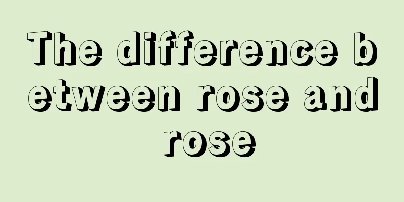 The difference between rose and rose