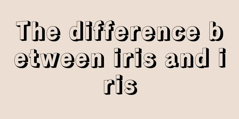 The difference between iris and iris